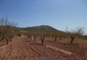 Terreno no urbanizable en venta en Caudete ref: TR32556 foto