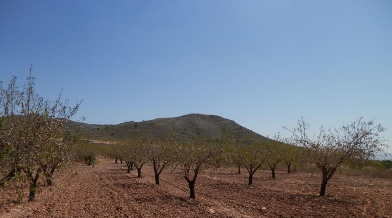 Albacete - Caudete - 162900m2