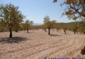 Terreno no urbanizable en venta en Caudete ref: TR32556 foto