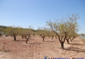 Terreno no urbanizable en venta en Caudete ref: TR32556 foto