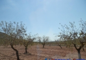 Terreno no urbanizable en venta en Caudete ref: TR32556 foto