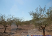 Terreno no urbanizable en venta en Caudete ref: TR32556 foto