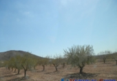 Terreno no urbanizable en venta en Caudete ref: TR32556 foto