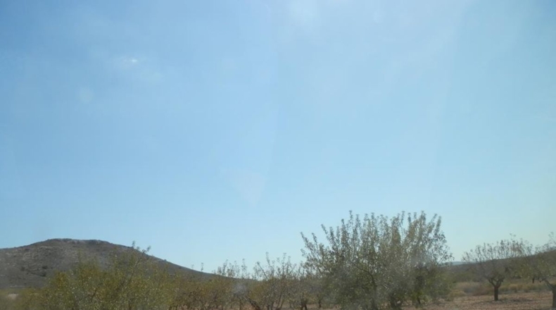 Albacete - Caudete - 162900m2