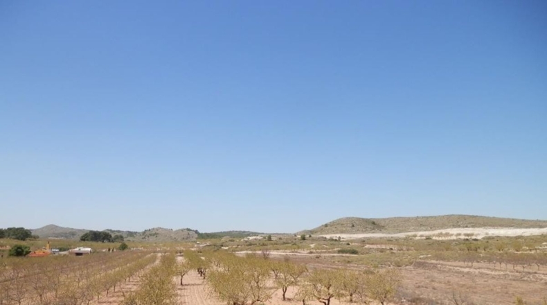 Albacete - Caudete - 162900m2
