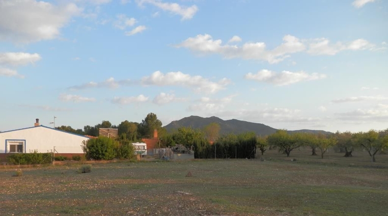 Albacete - Caudete - 1000m2