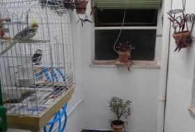 Foto 8