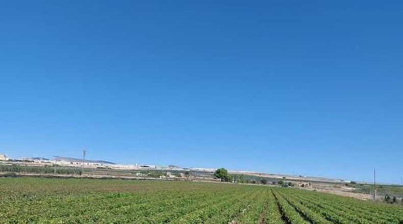 Albacete - Caudete - 15408m2