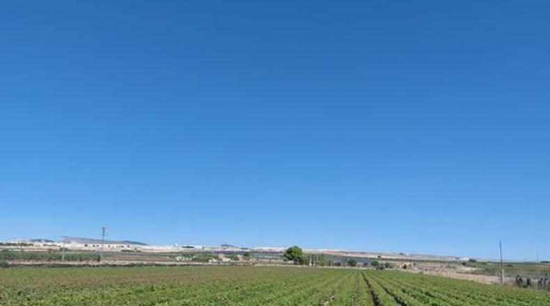 Albacete - Caudete - 15408m2