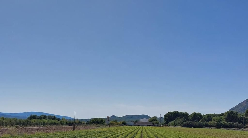 Albacete - Caudete - 15408m2