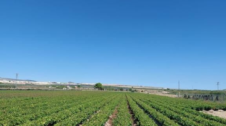 Albacete - Caudete - 15408m2