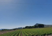 Non-developable land for sale in Caudete ref: TR67290 photo