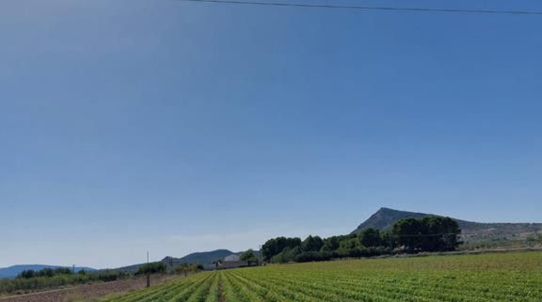 Albacete - Caudete - 15408m2