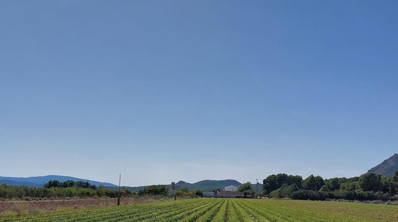 Albacete - Caudete - 15408m2