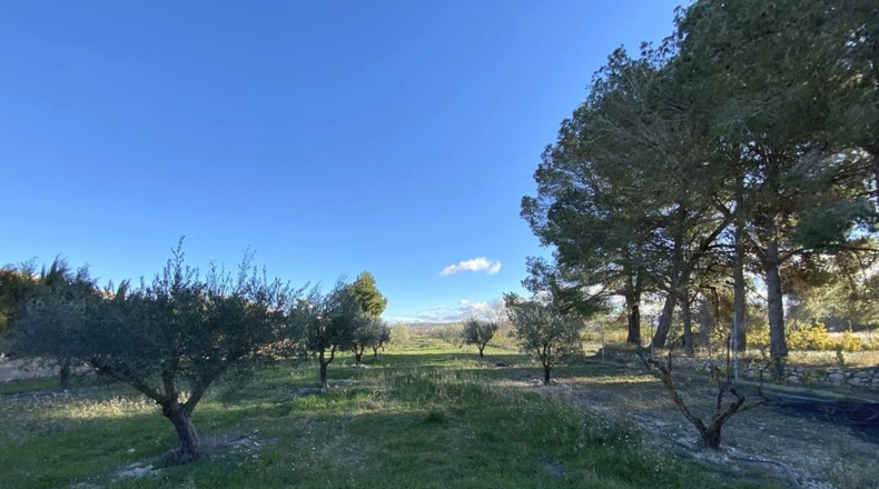 Albacete - Caudete - 3457m2