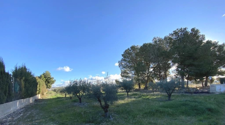 Albacete - Caudete - 3457m2