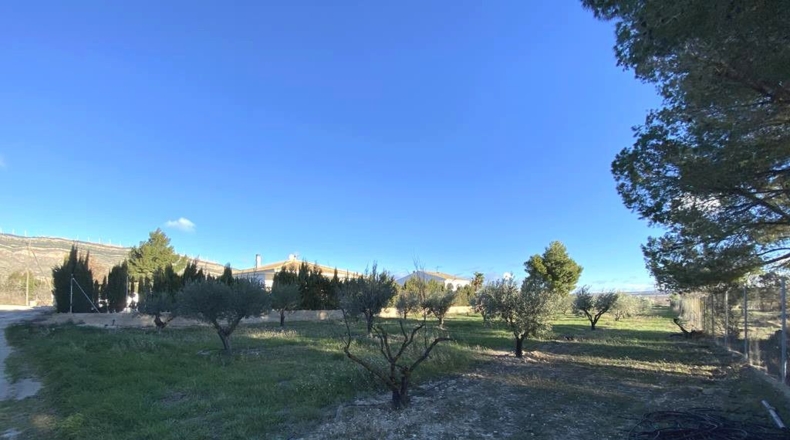 Albacete - Caudete - 3457m2