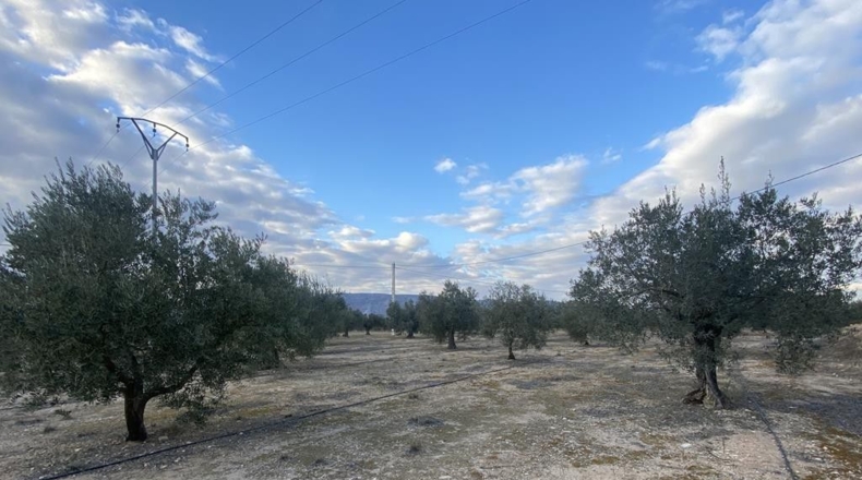 Alicante - Villena - 15142m2