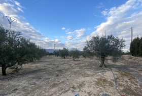 Foto 11