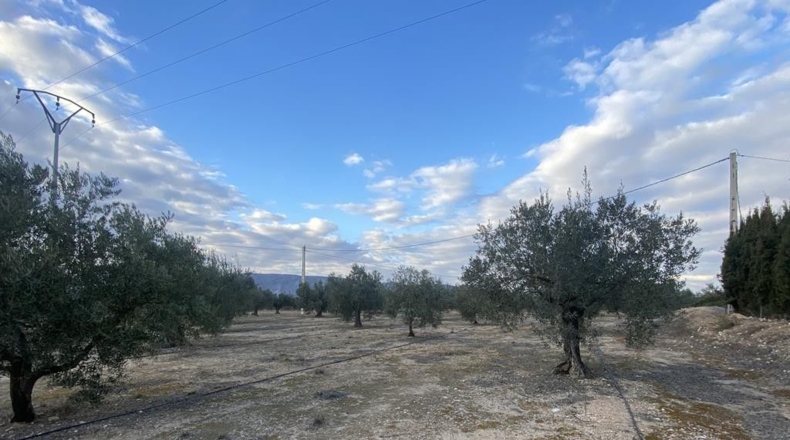 Alicante - Villena - 15142m2