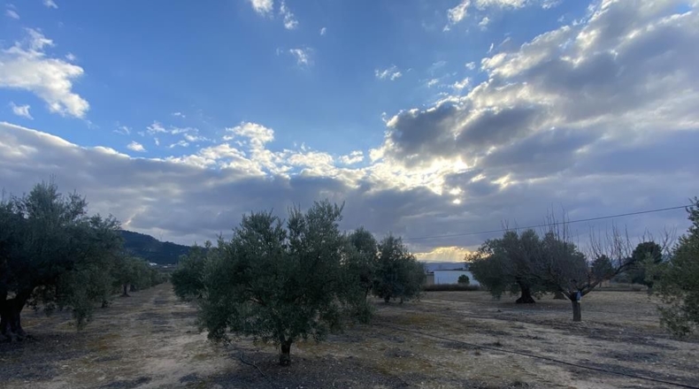 Alicante - Villena - 15142m2