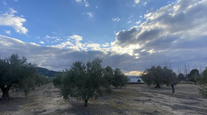 Alicante - Villena - 15142m2