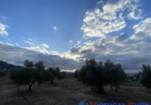 Xalet independent amb terreny en venda a Villena ref.: TR74926 foto