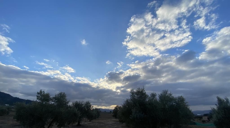 Alicante - Villena - 15142m2