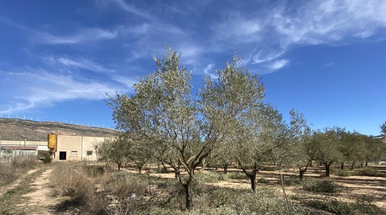 Albacete - Caudete - 3472m2