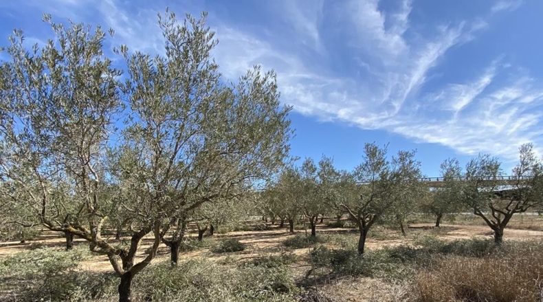 Albacete - Caudete - 3472m2