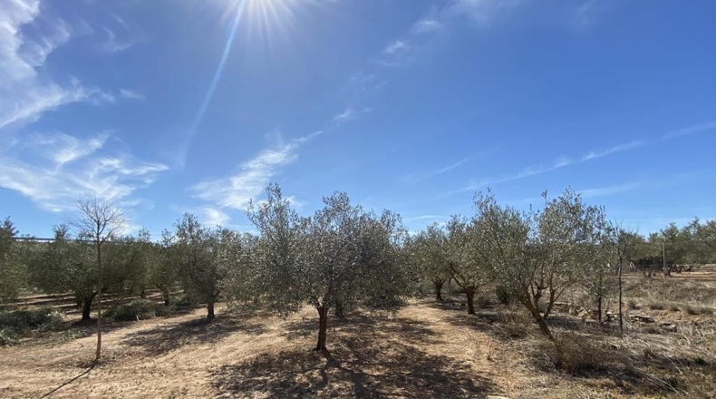 Albacete - Caudete - 3472m2