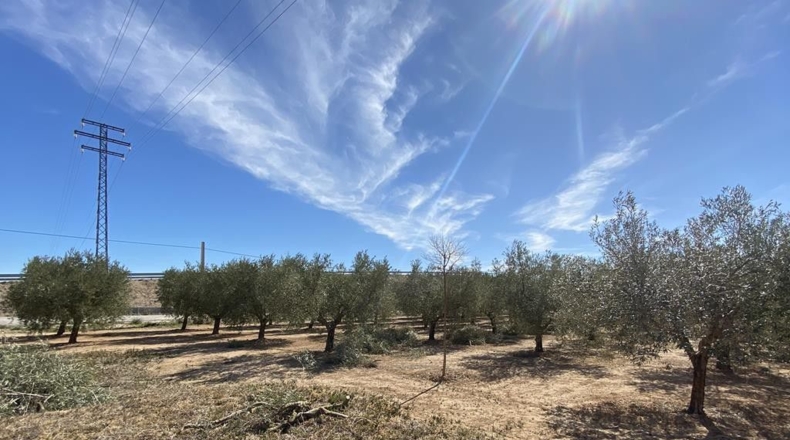 Albacete - Caudete - 3472m2