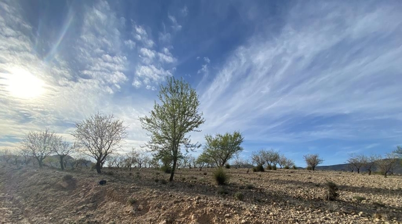 Albacete - Caudete - 10224m2