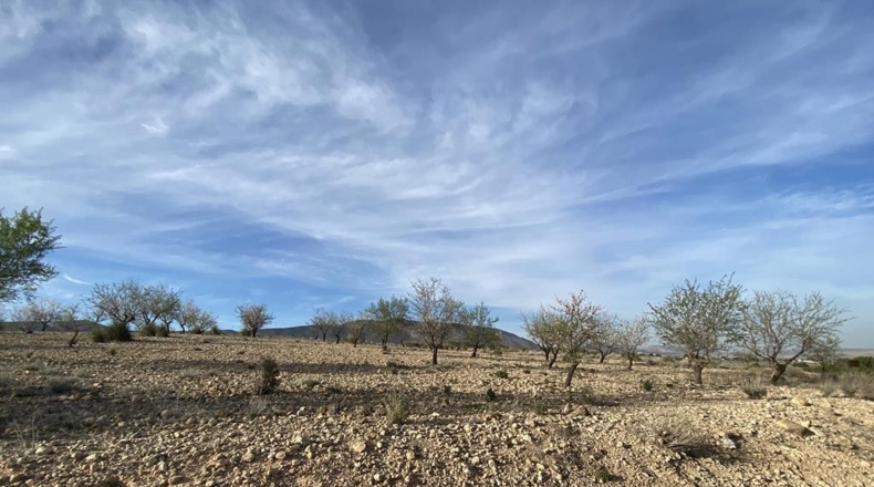 Albacete - Caudete - 10224m2