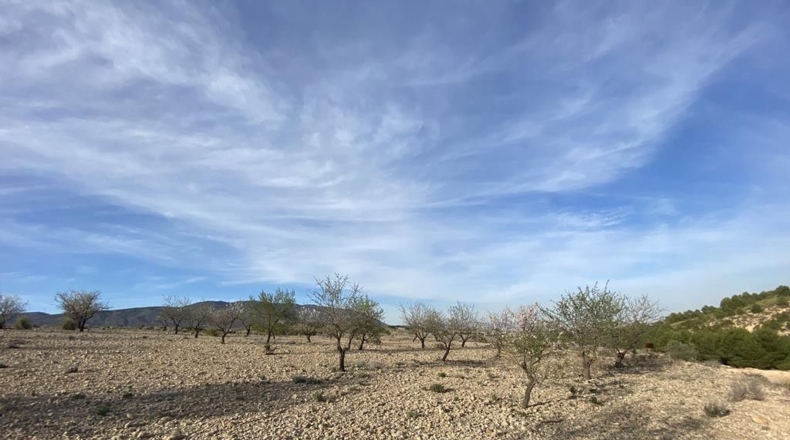 Albacete - Caudete - 10224m2