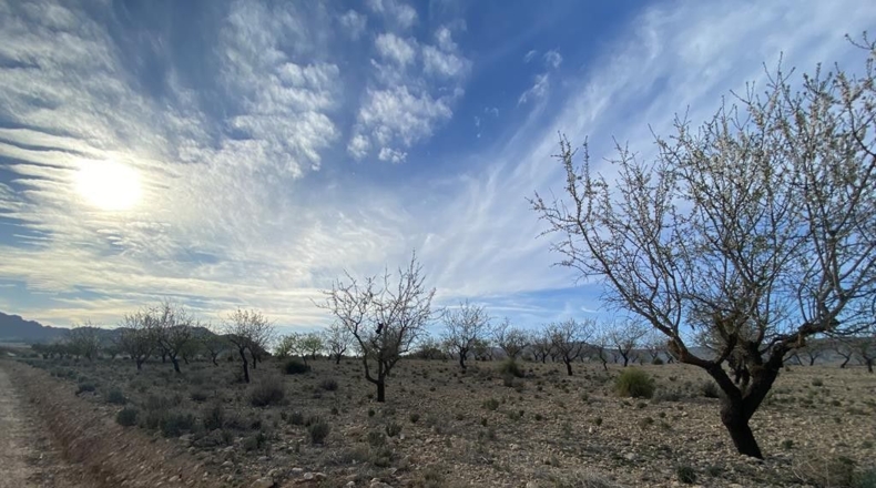 Albacete - Caudete - 10224m2