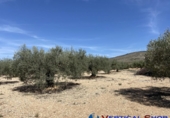 Terreno no urbanizable en venta en Alcalá del Júcar ref: TR73672 foto