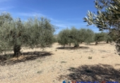 Terreno no urbanizable en venta en Alcalá del Júcar ref: TR73672 foto