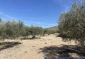 Terreno no urbanizable en venta en Alcalá del Júcar ref: TR73672 foto