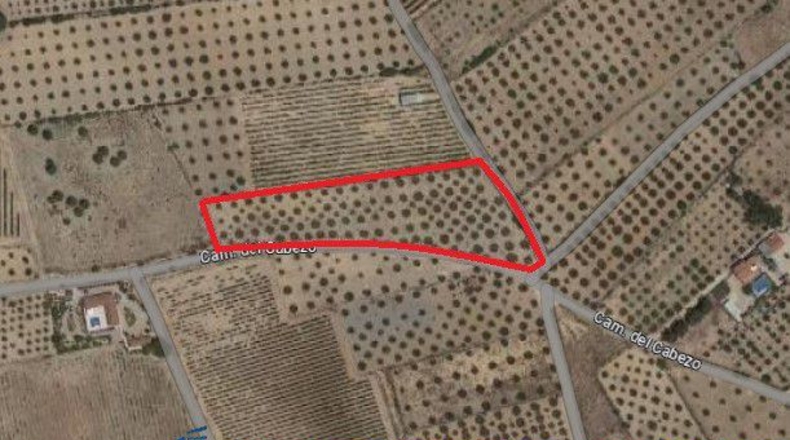 Albacete - Caudete - 7628m2