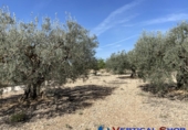 Terreno no urbanizable en venta en Alcalá del Júcar ref: TR73672 foto