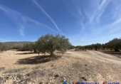 Terreno no urbanizable en venta en Alcalá del Júcar ref: TR73672 foto