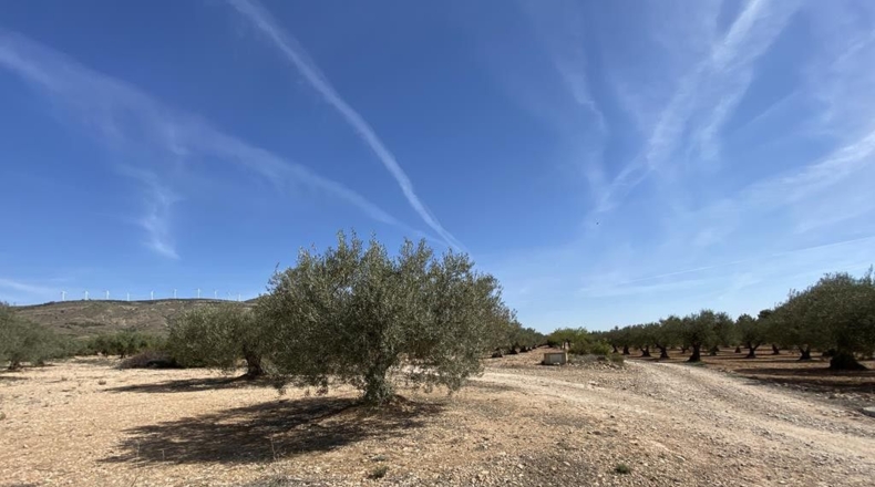 Albacete - Caudete - 7628m2