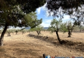 Chalet independiente con terreno en venta en Alcalá del Júcar ref: TR74925 foto