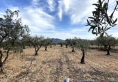 Chalet independiente con terreno en venta en Alcalá del Júcar ref: TR74925 foto