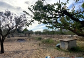 Chalet independiente con terreno en venta en Alcalá del Júcar ref: TR74925 foto
