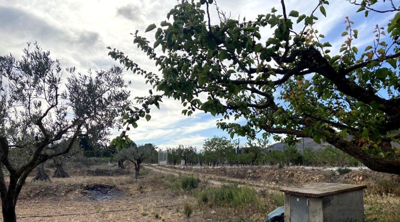 Albacete - Caudete - 9450m2
