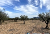 Chalet independiente con terreno en venta en Alcalá del Júcar ref: TR74925 foto