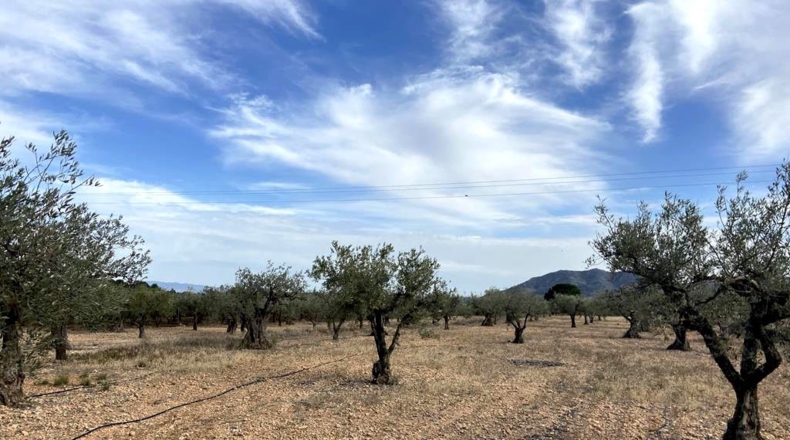 Albacete - Caudete - 9450m2