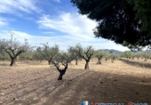 Chalet independiente con terreno en venta en Alcalá del Júcar ref: TR74925 foto